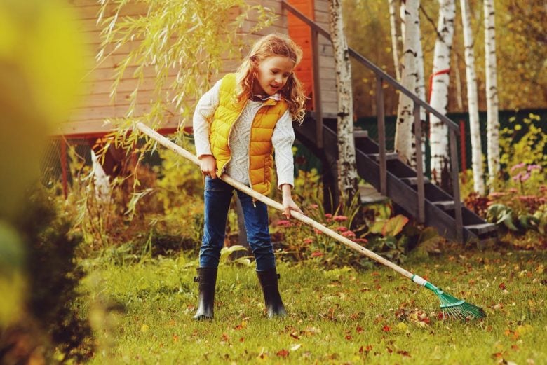 Little girl raking leaves